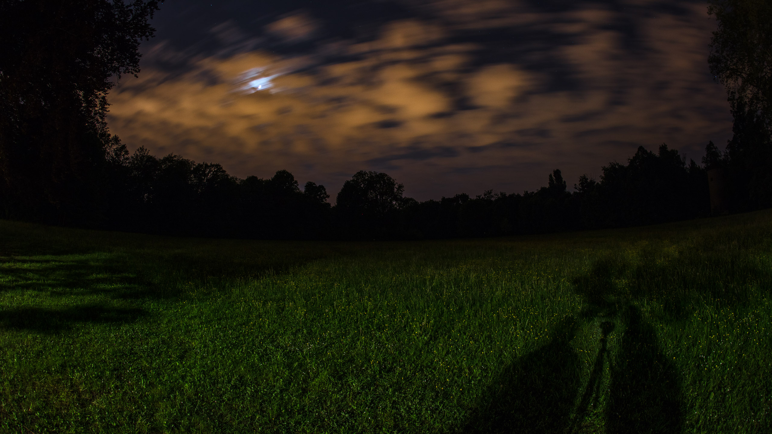 20220508000657 DP017497